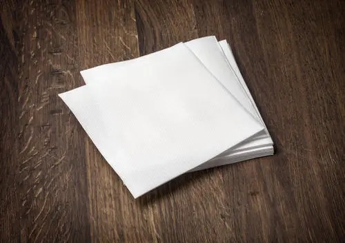 广东餐巾纸五大本相大揭秘！