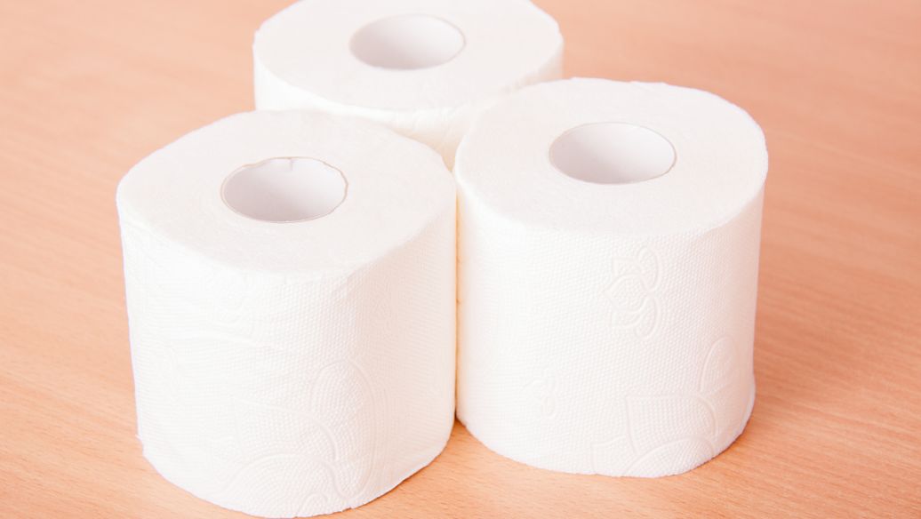 广东卫生纸常识，正规厂家带你正确的了解