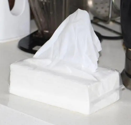 广东卫生纸的价格受哪些要素影响