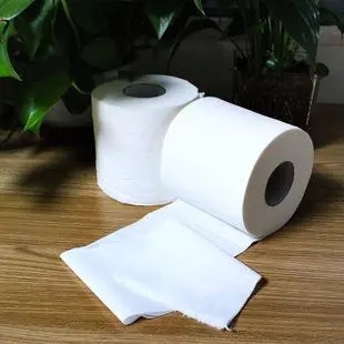 广东卷纸厂家说说水溶性纸巾与不溶性纸巾的比较